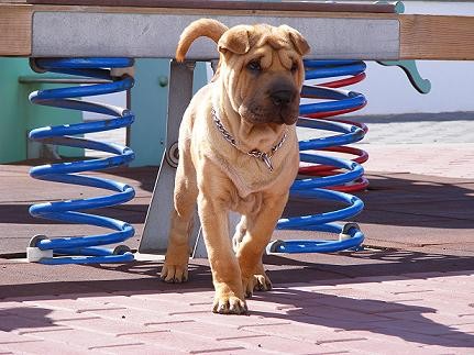 estamos en el el parque jugando, ella esta entretenida con una mosca, jejjeje